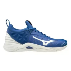 Men's Mizuno Wave Momentum Volleyball Shoes -Sports Shoe Store 889961381515
